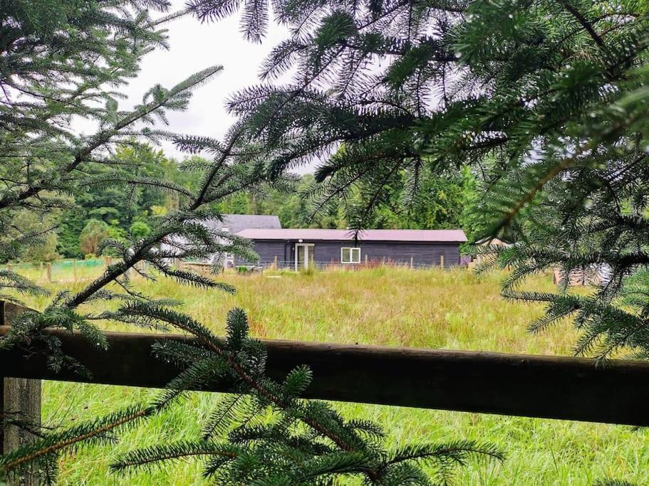 Drummacahan Lodge Ederny Ngoại thất bức ảnh